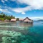 Surga Bawah Laut Dunia Adalah Raja Ampat